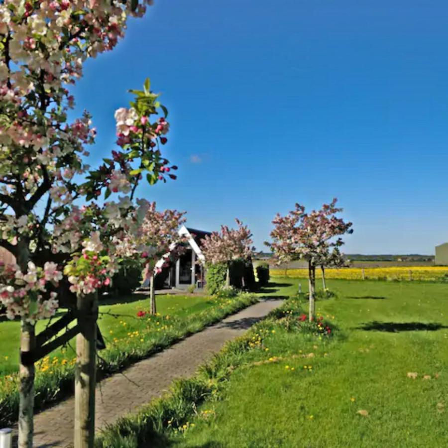 Hotelhuisje Warmenhuizen #C Экстерьер фото